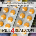Männliche Seidenraupenmotte Nährende Flüssigkeit levitra2